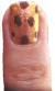 Nail art leopard BonjourBlondie